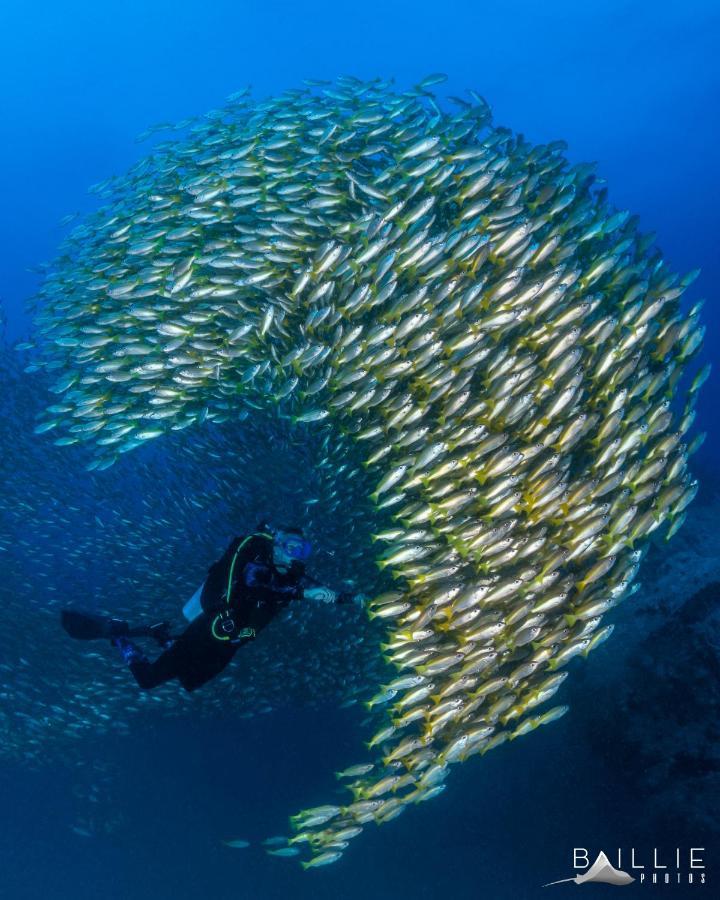 Hydronauts Diving Resort - קו טאו מראה חיצוני תמונה