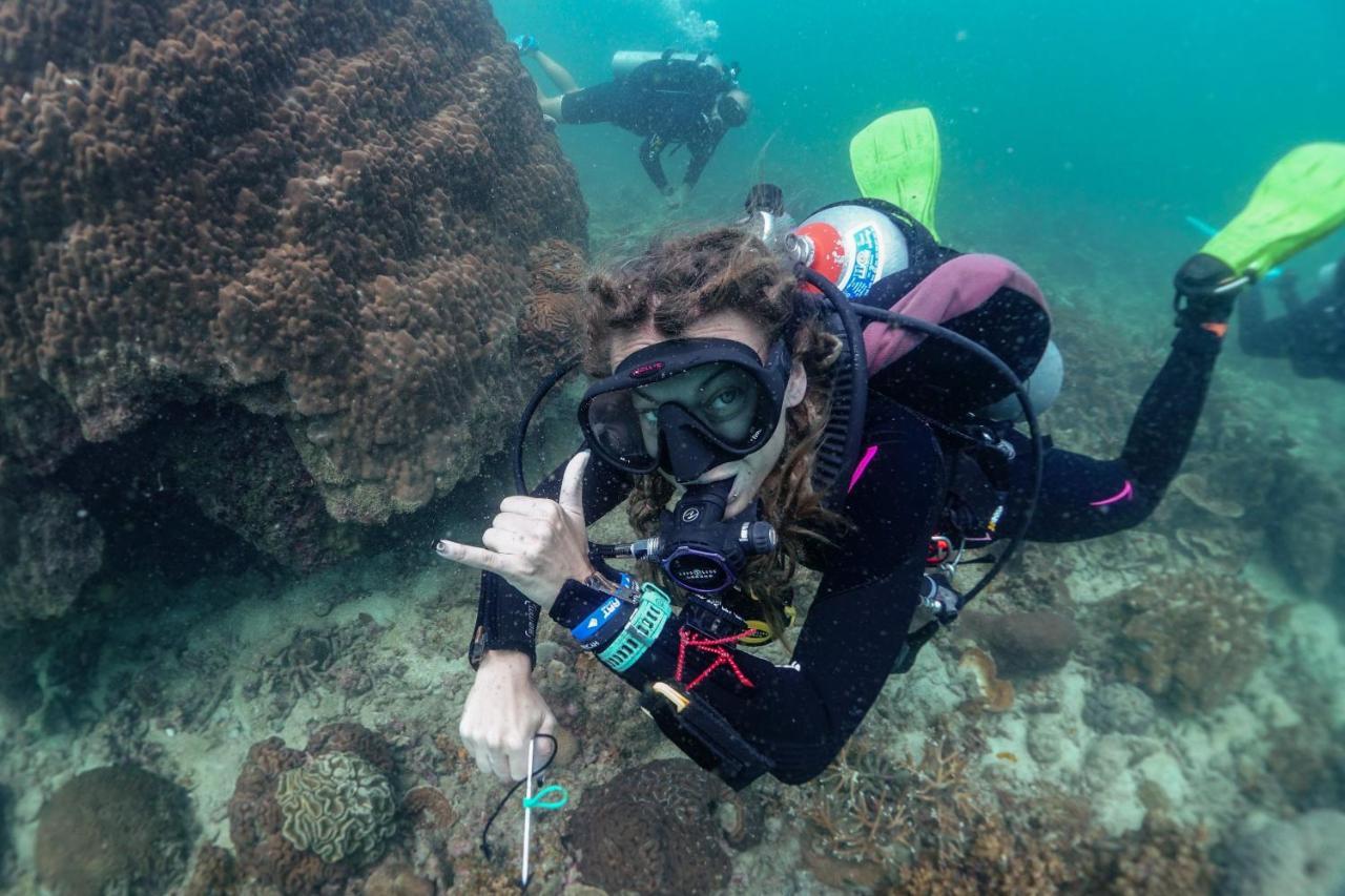 Hydronauts Diving Resort - קו טאו מראה חיצוני תמונה